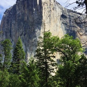 Meet your Posher, Kylie